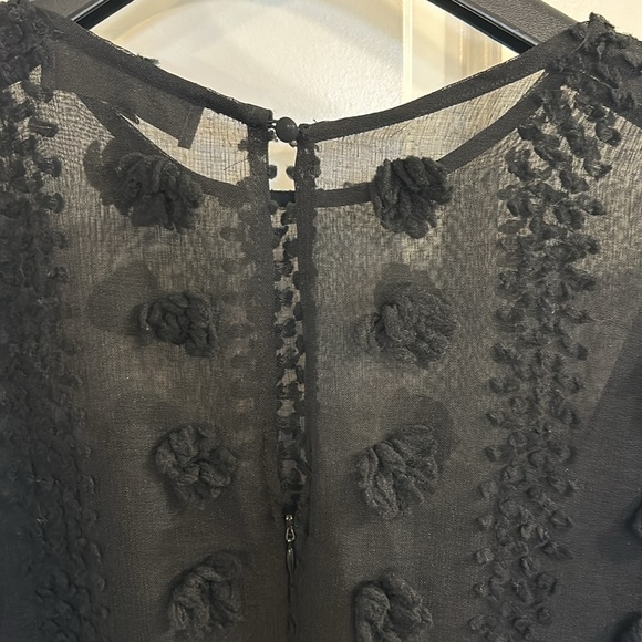 Anthropologie black, sheer, party dress. Size 18W - Picture 5 of 8